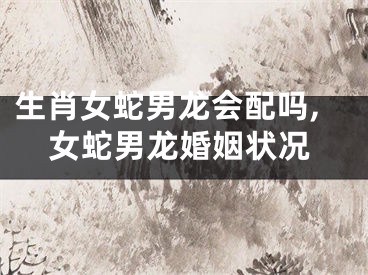 生肖女蛇男龙会配吗,女蛇男龙婚姻状况