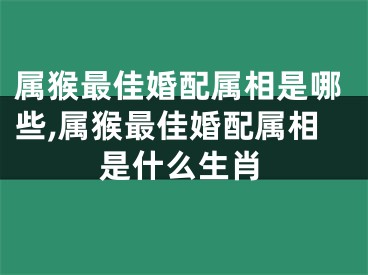 属猴最佳婚配属相是哪些,属猴最佳婚配属相是什么生肖