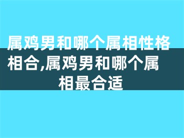 属鸡男和哪个属相性格相合,属鸡男和哪个属相最合适