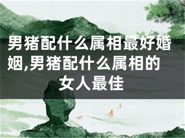 男猪配什么属相最好婚姻,男猪配什么属相的女人最佳