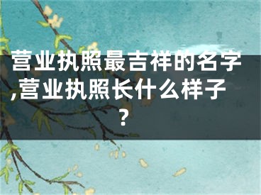 营业执照最吉祥的名字,营业执照长什么样子?