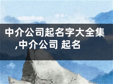 中介公司起名字大全集,中介公司 起名