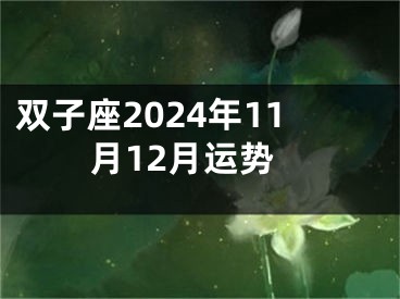 双子座2024年11月12月运势