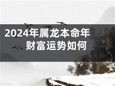 2024年属龙本命年财富运势如何