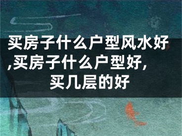 买房子什么户型风水好,买房子什么户型好,买几层的好