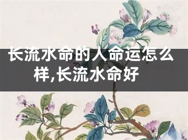 长流水命的人命运怎么样,长流水命好