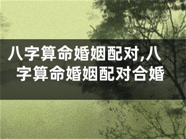 八字算命婚姻配对,八字算命婚姻配对合婚