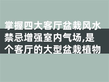 掌握四大客厅盆栽风水禁忌增强室内气场,是个客厅的大型盆栽植物