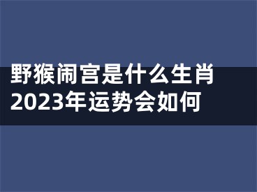 野猴闹宫是什么生肖 2023年运势会如何