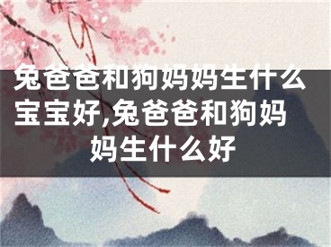 兔爸爸和狗妈妈生什么宝宝好,兔爸爸和狗妈妈生什么好