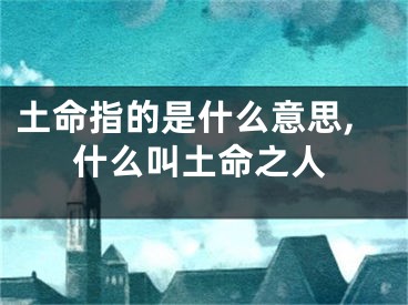 土命指的是什么意思,什么叫土命之人
