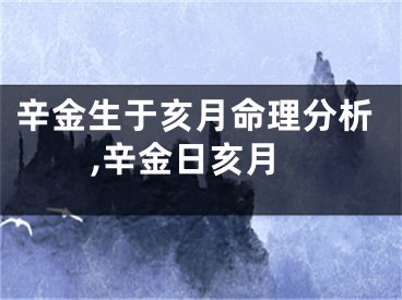 辛金生于亥月命理分析,辛金日亥月