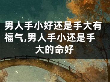 男人手小好还是手大有福气,男人手小还是手大的命好