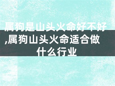 属狗是山头火命好不好,属狗山头火命适合做什么行业