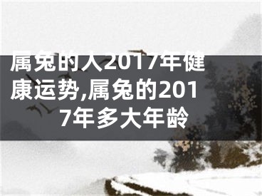 属兔的人2017年健康运势,属兔的2017年多大年龄