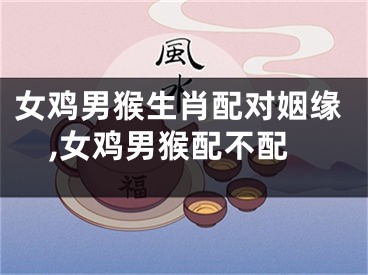 女鸡男猴生肖配对姻缘,女鸡男猴配不配