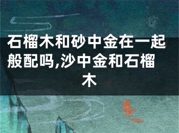 石榴木和砂中金在一起般配吗,沙中金和石榴木