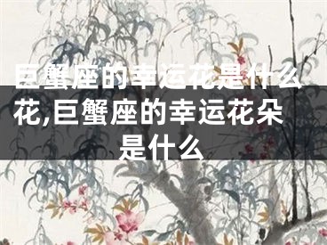 巨蟹座的幸运花是什么花,巨蟹座的幸运花朵是什么
