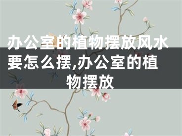 办公室的植物摆放风水要怎么摆,办公室的植物摆放