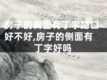 房子的侧面有丁字路口好不好,房子的侧面有丁字好吗