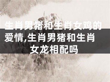 生肖男猪和生肖女鸡的爱情,生肖男猪和生肖女龙相配吗