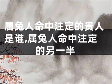 属兔人命中注定的贵人是谁,属兔人命中注定的另一半