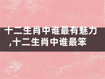 十二生肖中谁最有魅力,十二生肖中谁最笨