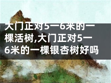大门正对5一6米的一棵活树,大门正对5一6米的一棵银杏树好吗