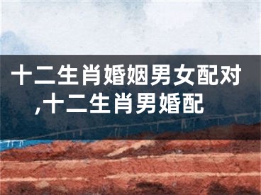 十二生肖婚姻男女配对,十二生肖男婚配