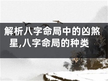 解析八字命局中的凶煞星,八字命局的种类
