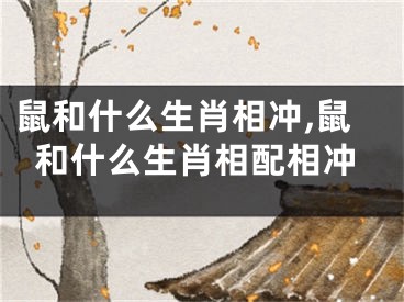 鼠和什么生肖相冲,鼠和什么生肖相配相冲