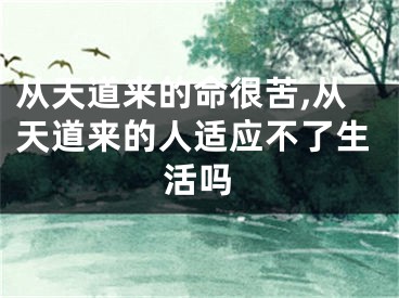 从天道来的命很苦,从天道来的人适应不了生活吗