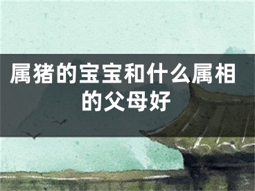 属猪的宝宝和什么属相的父母好