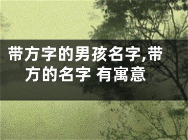 带方字的男孩名字,带方的名字 有寓意