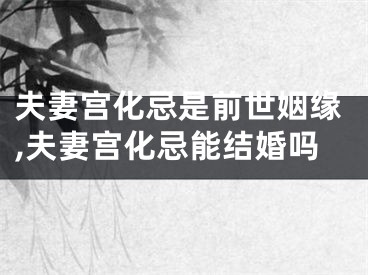夫妻宫化忌是前世姻缘,夫妻宫化忌能结婚吗