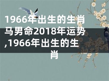 1966年出生的生肖马男命2018年运势,1966年出生的生肖
