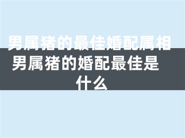 男属猪的最佳婚配属相 男属猪的婚配最佳是什么
