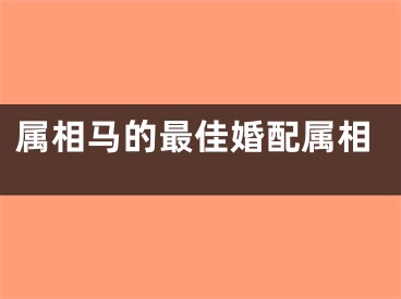 属相马的最佳婚配属相