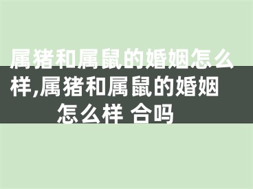 属猪和属鼠的婚姻怎么样,属猪和属鼠的婚姻怎么样 合吗