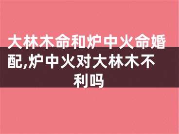 大林木命和炉中火命婚配,炉中火对大林木不利吗