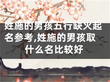 姓施的男孩五行缺火起名参考,姓施的男孩取什么名比较好