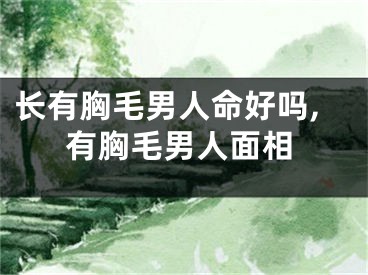 长有胸毛男人命好吗,有胸毛男人面相