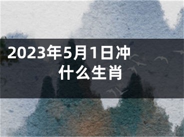 2023年5月1日冲什么生肖