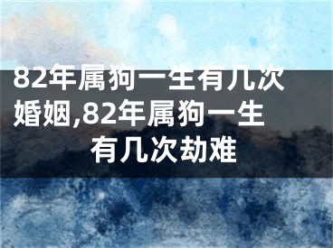 82年属狗一生有几次婚姻,82年属狗一生有几次劫难