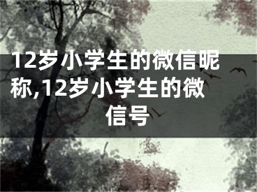 12岁小学生的微信昵称,12岁小学生的微信号