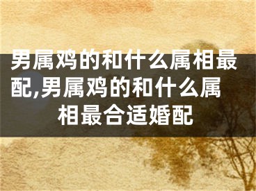 男属鸡的和什么属相最配,男属鸡的和什么属相最合适婚配
