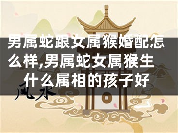 男属蛇跟女属猴婚配怎么样,男属蛇女属猴生什么属相的孩子好