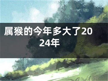 属猴的今年多大了2024年