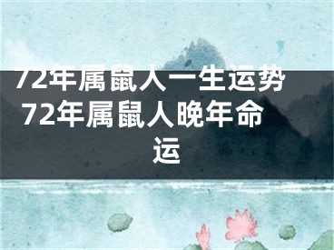 72年属鼠人一生运势 72年属鼠人晚年命运