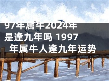97年属牛2024年是逢九年吗 1997年属牛人逢九年运势